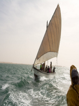 Banc d'Arguin Image 3